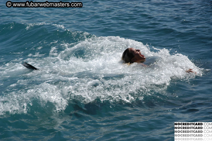 Encounter the Dolphins 2003