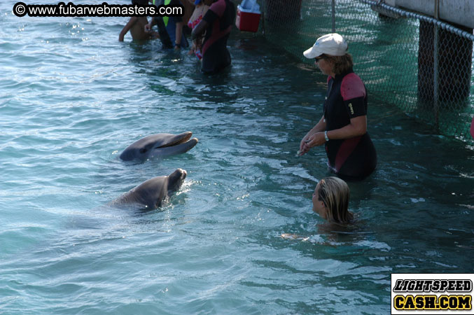 Encounter the Dolphins 2003