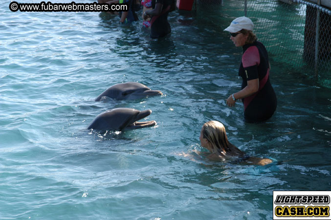 Encounter the Dolphins 2003