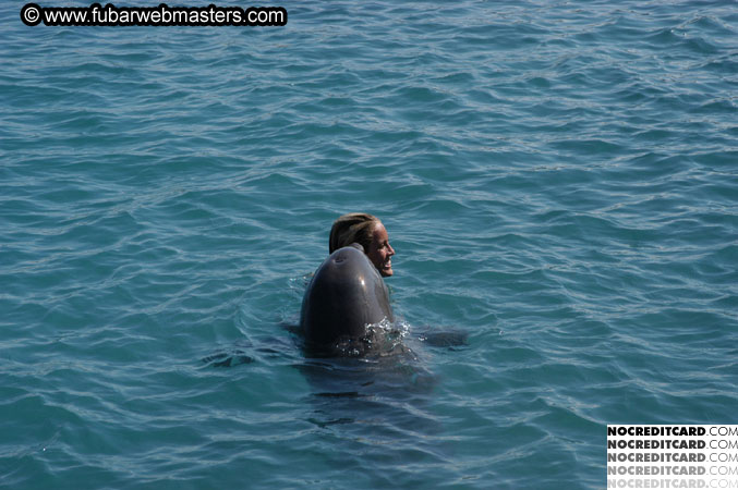 Encounter the Dolphins 2003