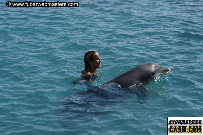 Encounter the Dolphins 2003