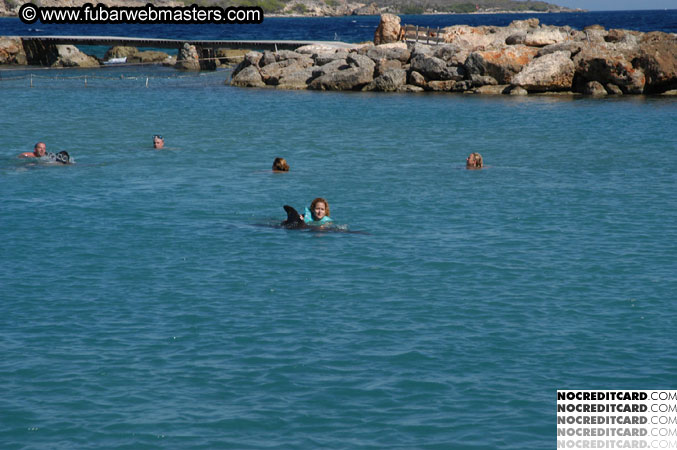 Encounter the Dolphins 2003