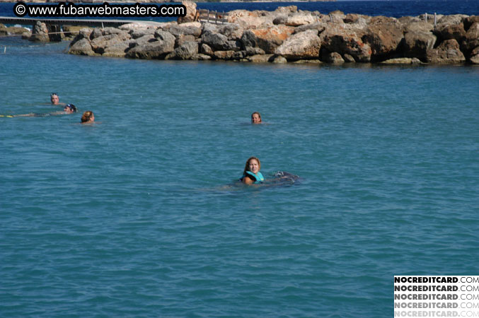 Encounter the Dolphins 2003
