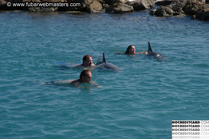 Encounter the Dolphins 2003