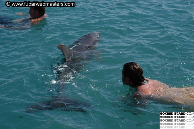 Encounter the Dolphins 2003