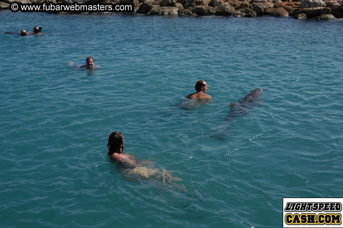 Encounter the Dolphins 2003