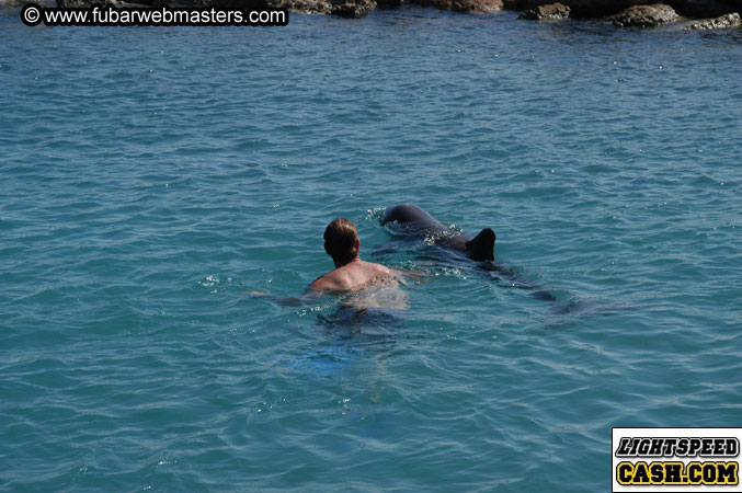 Encounter the Dolphins 2003