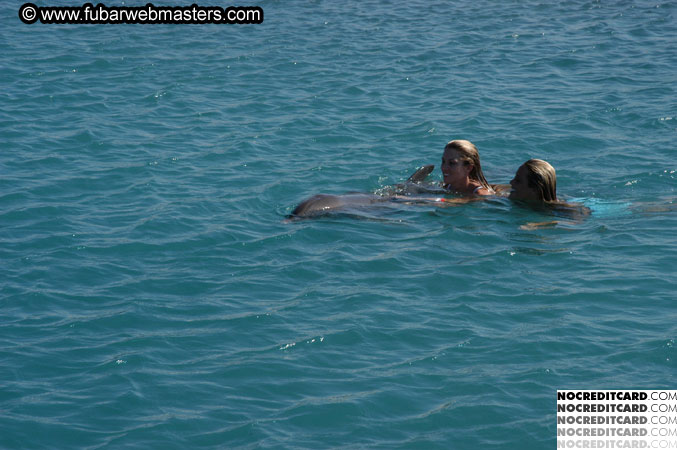 Encounter the Dolphins 2003