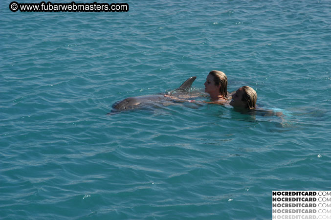 Encounter the Dolphins 2003