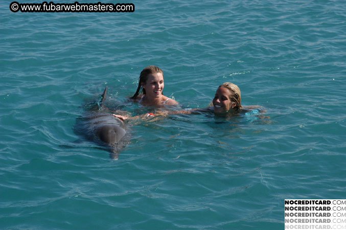 Encounter the Dolphins 2003