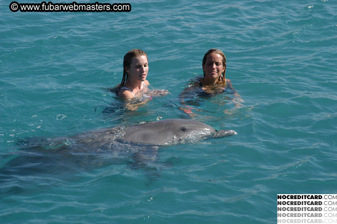 Encounter the Dolphins 2003