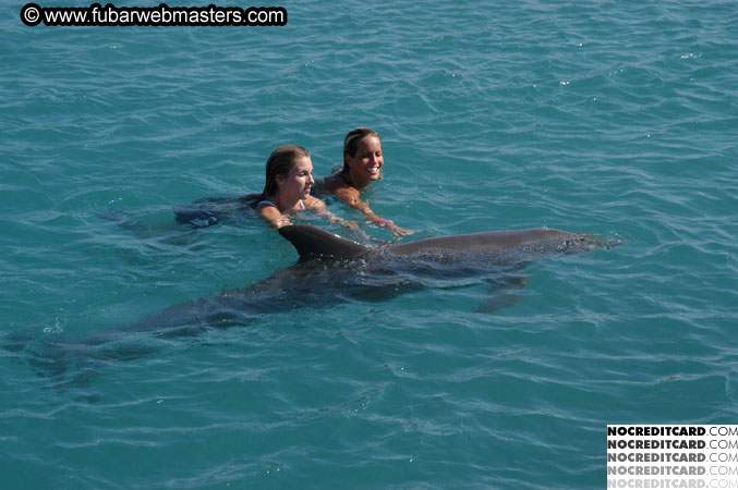 Encounter the Dolphins 2003