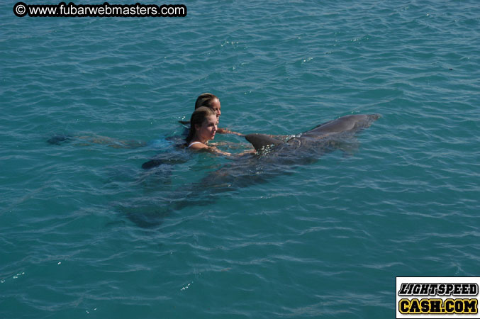 Encounter the Dolphins 2003