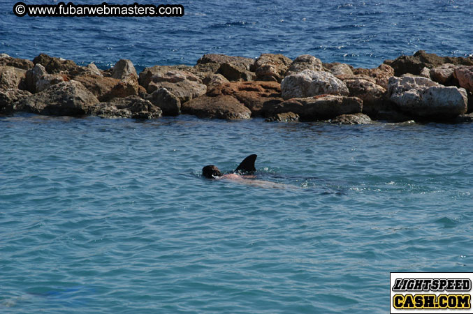 Encounter the Dolphins 2003