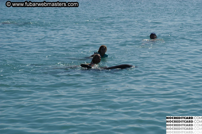 Encounter the Dolphins 2003