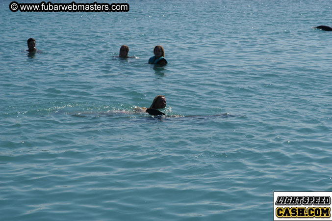 Encounter the Dolphins 2003