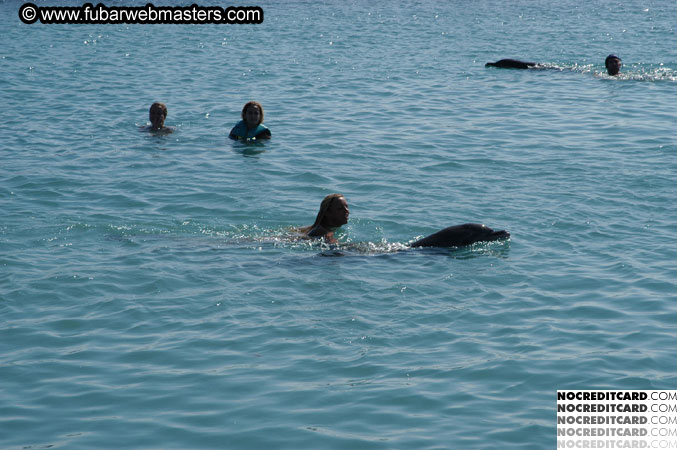 Encounter the Dolphins 2003