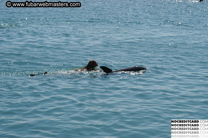 Encounter the Dolphins 2003