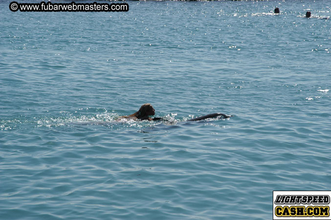 Encounter the Dolphins 2003