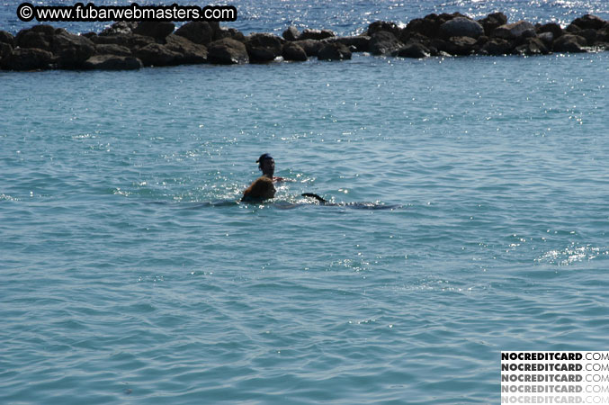 Encounter the Dolphins 2003