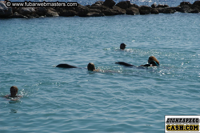 Encounter the Dolphins 2003