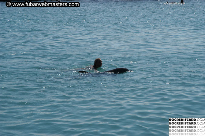 Encounter the Dolphins 2003