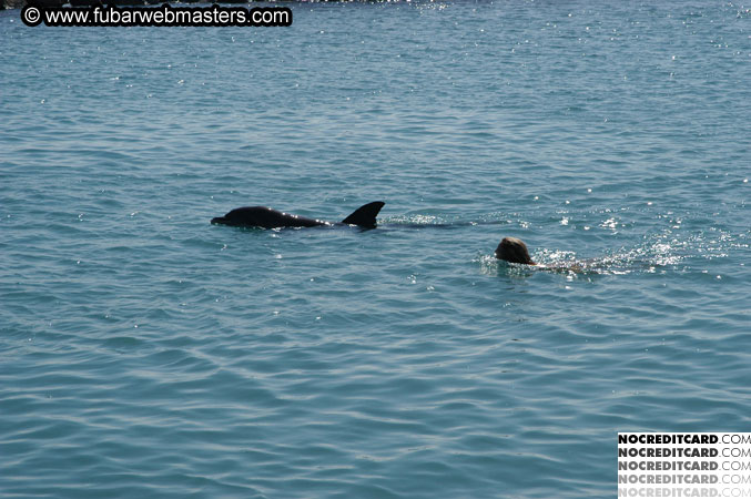 Encounter the Dolphins 2003