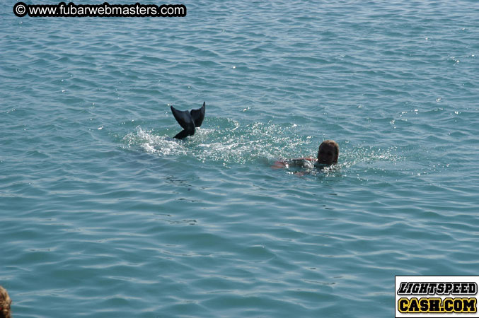 Encounter the Dolphins 2003