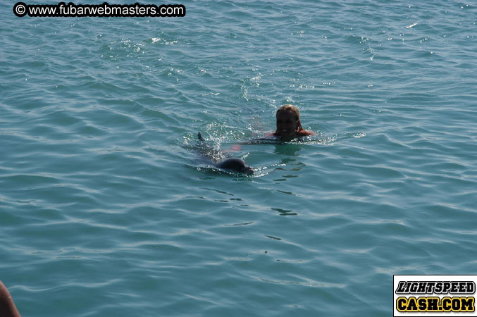 Encounter the Dolphins 2003