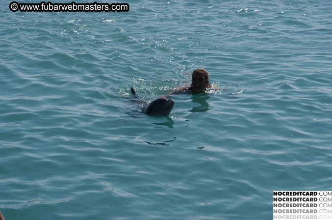 Encounter the Dolphins 2003