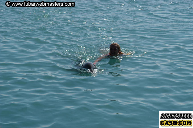 Encounter the Dolphins 2003