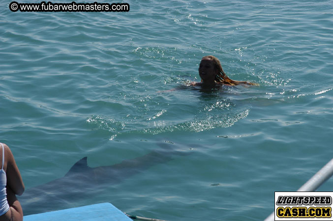 Encounter the Dolphins 2003