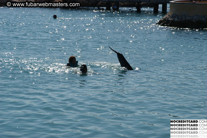 Encounter the Dolphins 2003