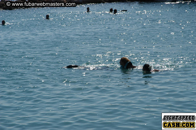 Encounter the Dolphins 2003