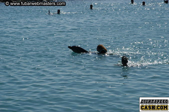 Encounter the Dolphins 2003