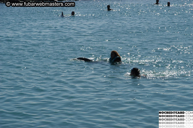 Encounter the Dolphins 2003