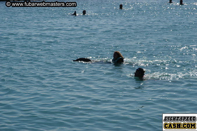 Encounter the Dolphins 2003