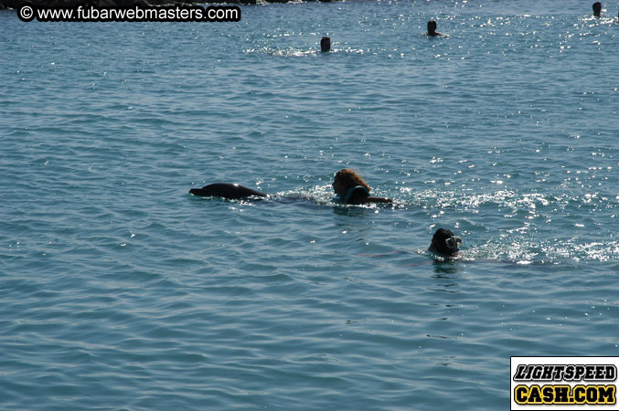 Encounter the Dolphins 2003