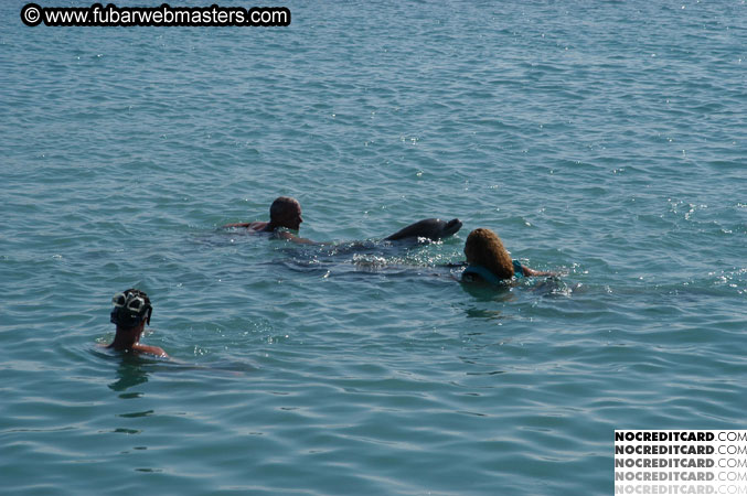 Encounter the Dolphins 2003