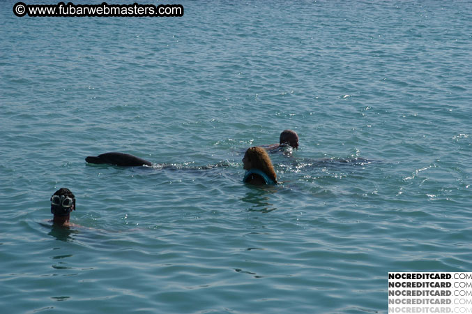 Encounter the Dolphins 2003