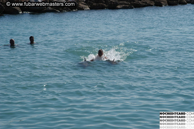 Encounter the Dolphins 2003