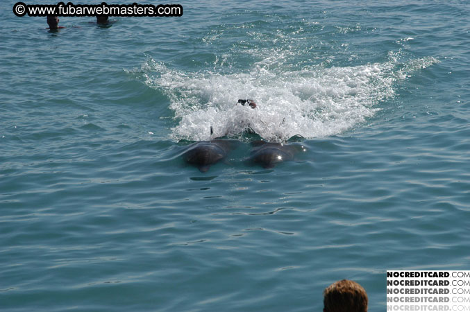 Encounter the Dolphins 2003