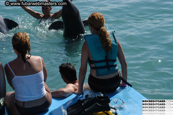 Encounter the Dolphins 2003