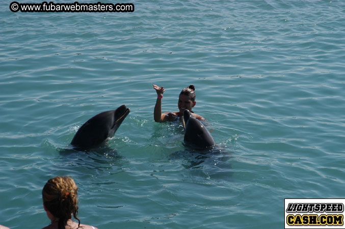 Encounter the Dolphins 2003