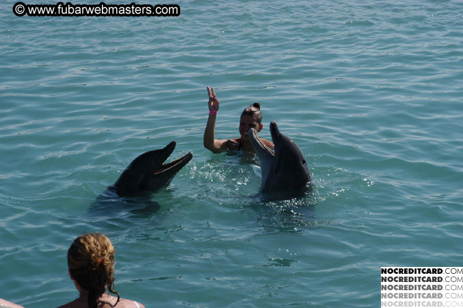 Encounter the Dolphins 2003