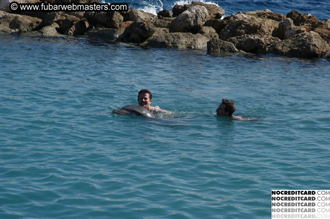 Encounter the Dolphins 2003