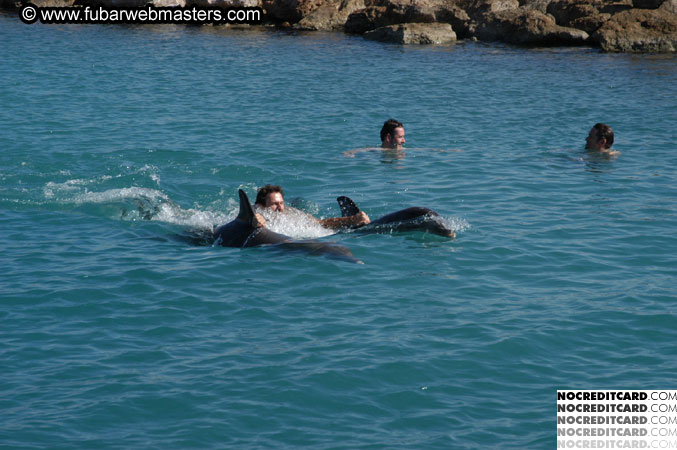 Encounter the Dolphins 2003