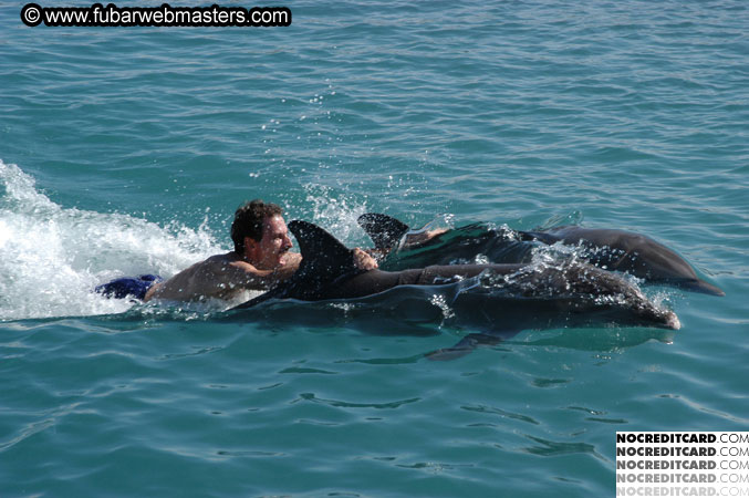 Encounter the Dolphins 2003