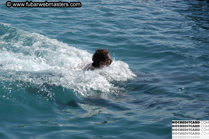 Encounter the Dolphins 2003