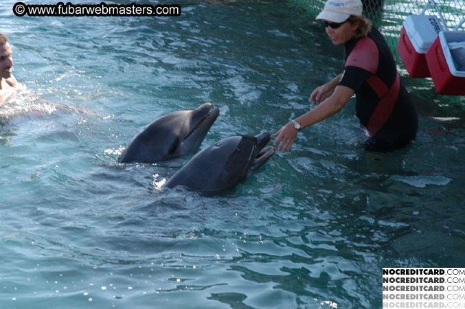 Encounter the Dolphins 2003